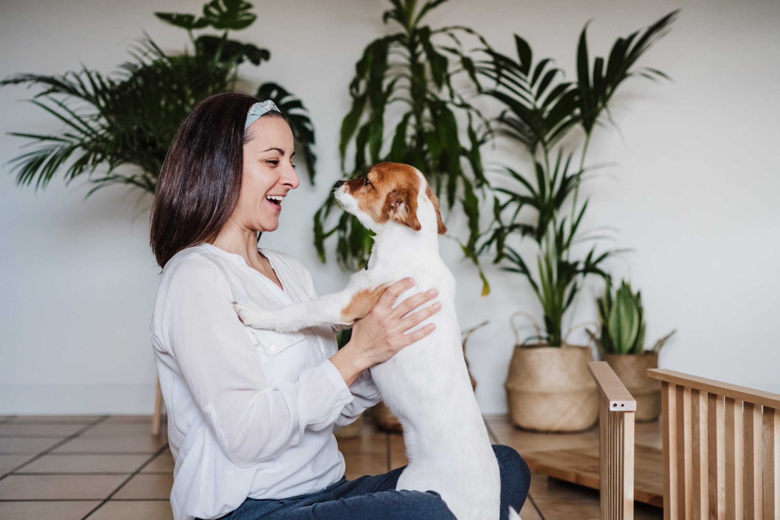 happy-woman-and-dog-at-home-after-working-assembli-2023-11-27-05-01-28-utc (1)